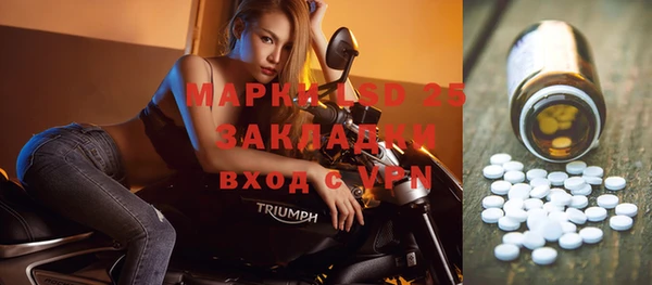 мяу мяу мука Арсеньев