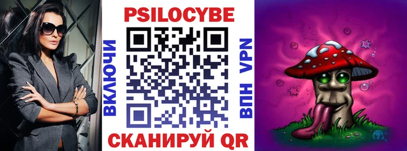 где купить наркоту  Сураж  Псилоцибиновые грибы мухоморы 