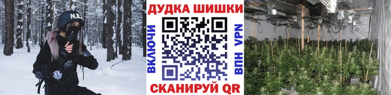 Конопля индика  Сураж 